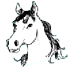 Аватар для YourPoroda