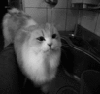 Аватар для katecka