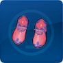 444d749e77eb3e52cbbad27cd7bd7ed3.png
