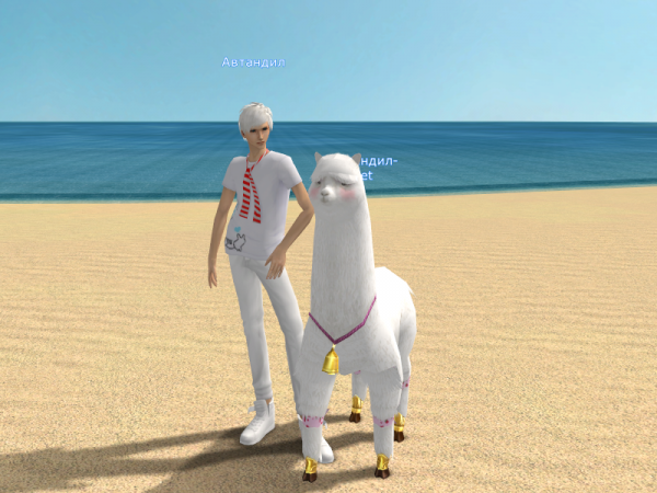 Альпака ездовая — Parapa